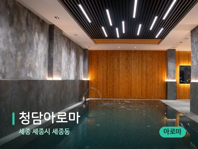세종 세종시 세종동 청담아로마 — 웰니스 스파 공간