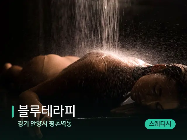 경기 안양시 평촌역동 블루테라피 — 스파 마사지 베드