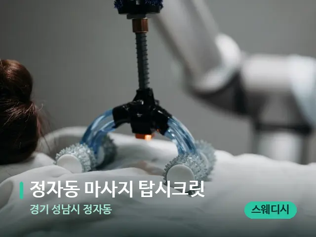 경기 성남시 정자동 정자동 마사지 탑시크릿 — 등·허리 관리 장면