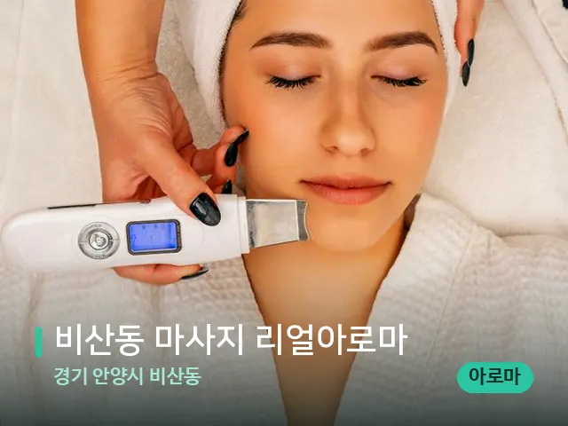 경기 안양시 비산동 비산동 마사지 리얼아로마 — 스파 마사지 베드