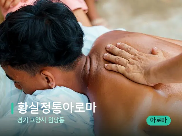 경기 고양시 원당동 황실정통아로마 — 마사지 관리를 받는 장면