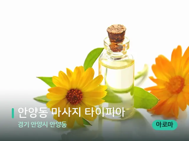 경기 안양시 안양동 안양동 마사지 타이피아 — 마사지 관리를 받는 장면