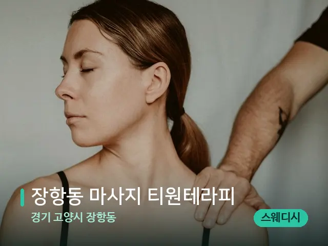 경기 고양시 장항동 장항동 마사지 티원테라피 — 어깨·목 관리 장면