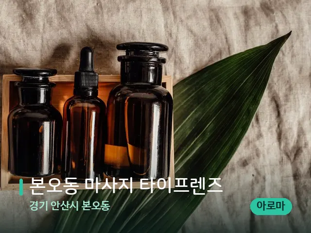 경기 안산시 본오동 본오동 마사지 타이프렌즈 — 마사지 오일과 도구