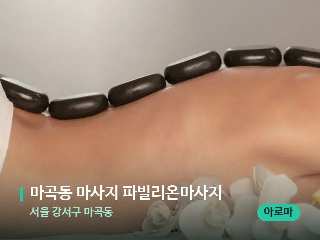 서울 강서구 마곡동 마곡동 마사지 파빌리온마사지 — 마사지 관리를 받는 장면