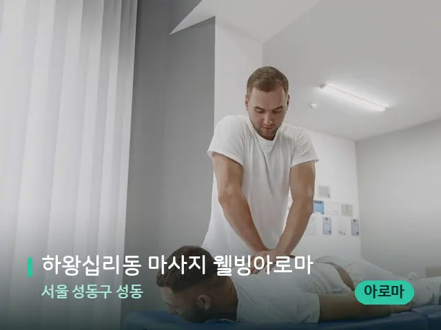 서울 성동구 성동 하왕십리동 마사지 웰빙아로마 — 마사지 관리를 받는 장면
