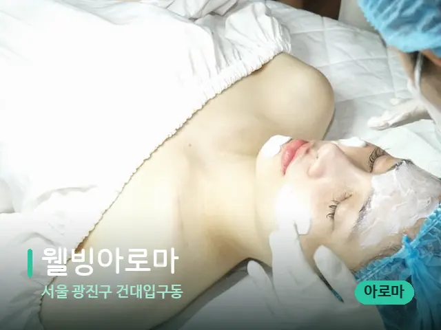 서울 광진구 건대입구동 웰빙아로마 — 스파 마사지 베드