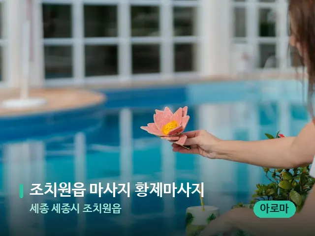 세종 세종시 조치원읍 조치원읍 마사지 황제마사지 — 웰니스 스파 공간