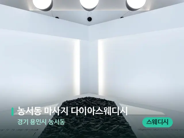 경기 용인시 농서동 농서동 마사지 다이아스웨디시 — 휴식 분위기의 스파 공간