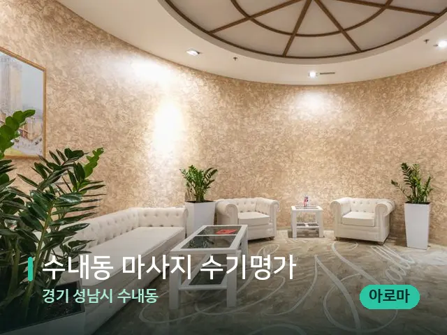 경기 성남시 수내동 수내동 마사지 수기명가 — 데이 스파 인테리어