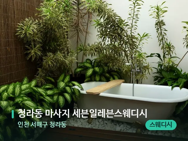 인천 서해구 청라동 청라동 마사지 세븐일레븐스웨디시 — 웰니스 스파 공간