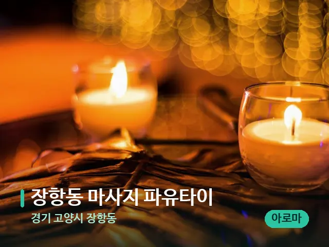 경기 고양시 장항동 장항동 마사지 파유타이 — 어깨·목 관리 장면